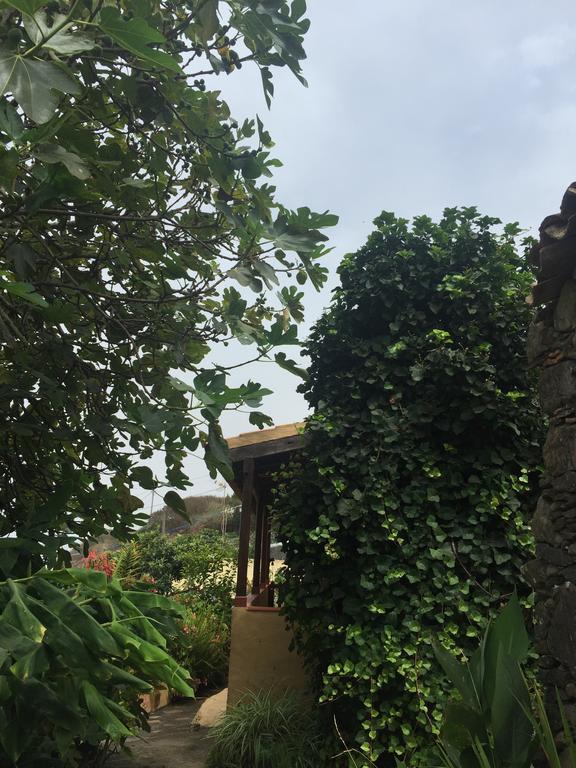 Casa Rural Las Rosas Agulo 외부 사진